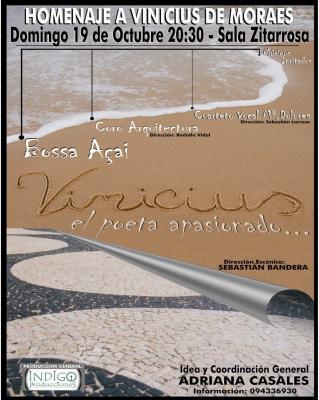 20081031234050-vinicius-web-artistico.jpg